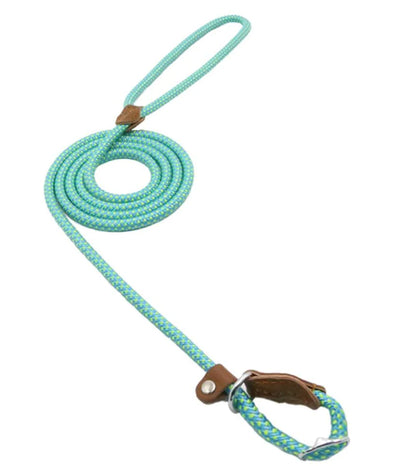 Furlo Nylon Dog Leash