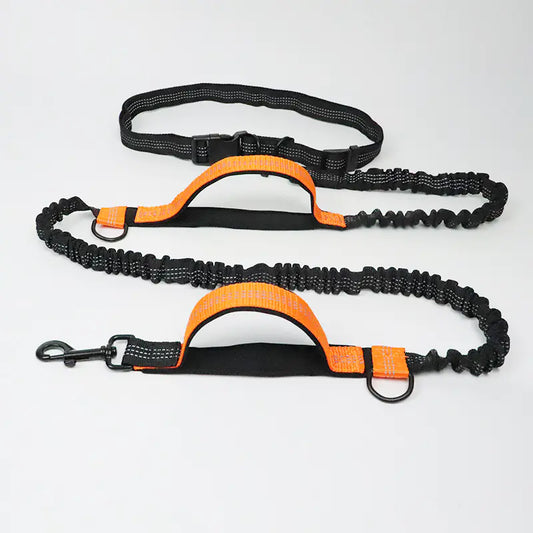Multi-Function Reflective Double Elastic Dog Leash