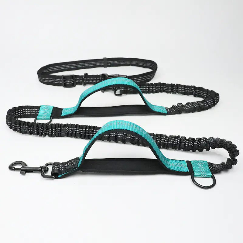 Multi-Function Reflective Double Elastic Dog Leash