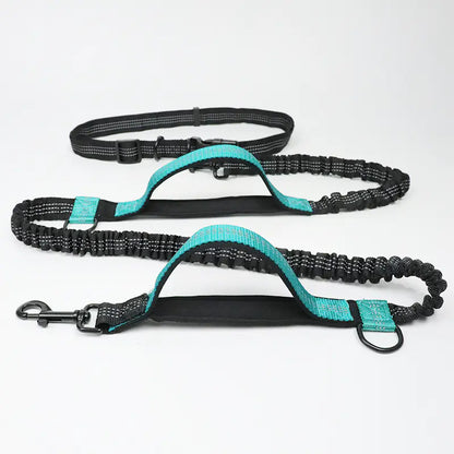 Multi-Function Reflective Double Elastic Dog Leash