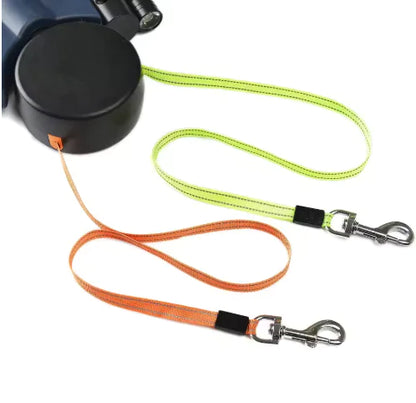Dual-Control Dog Leash