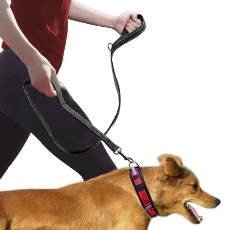 Double Handle Reflective Dog Leash