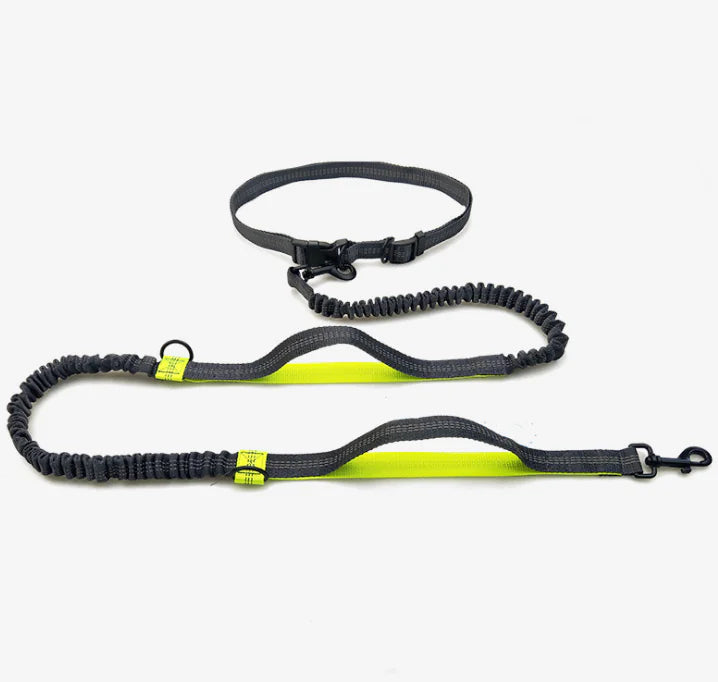 Multi-Function Reflective Double Elastic Dog Leash